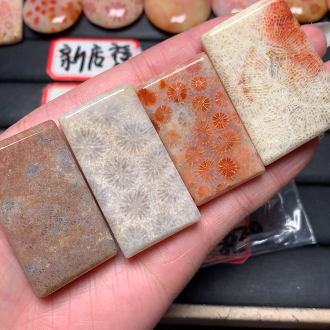 【闪购商品】硅化玉颈饰未镶嵌