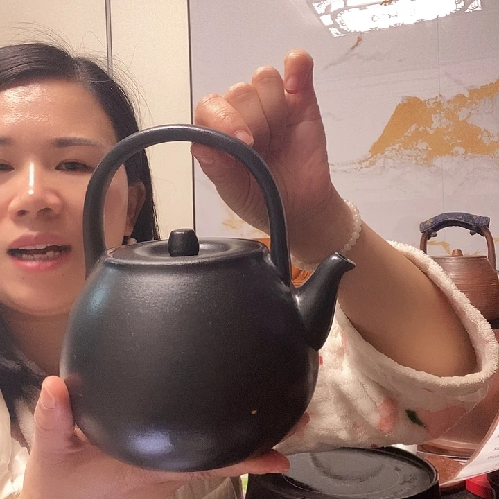 火山石煮茶壶80908091