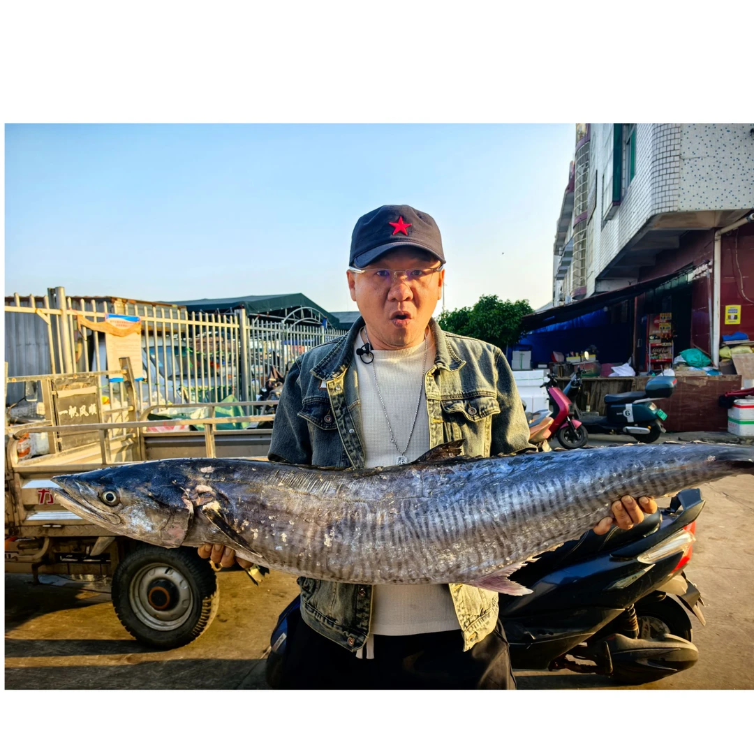 海南本港康氏马鲛鱼圆鲛渔民手捕马鲛鱼切片