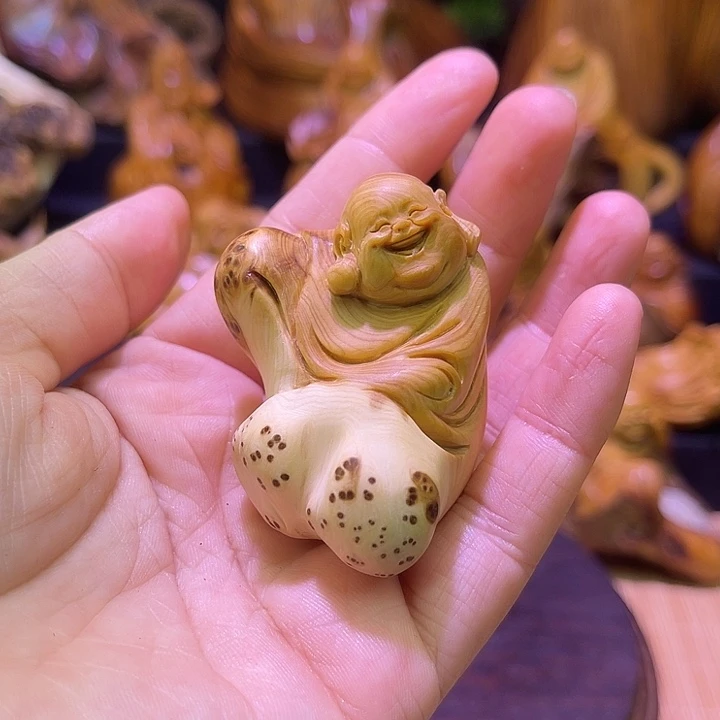 柏木（崖柏）888888888888888888