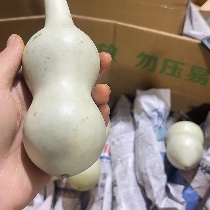 非洲紫檀（红花梨）随***叶