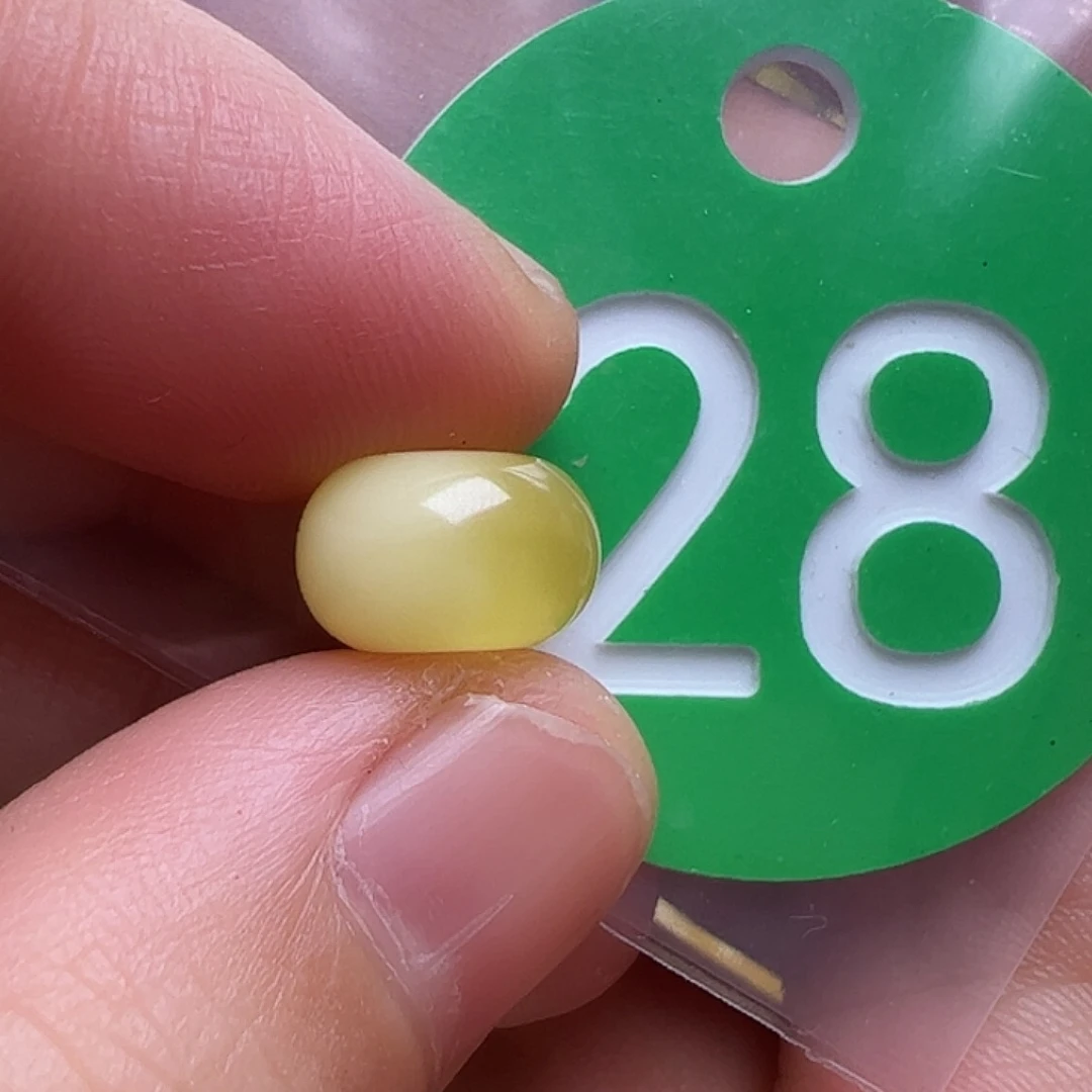 裸石蜜蜡未镶嵌10m m