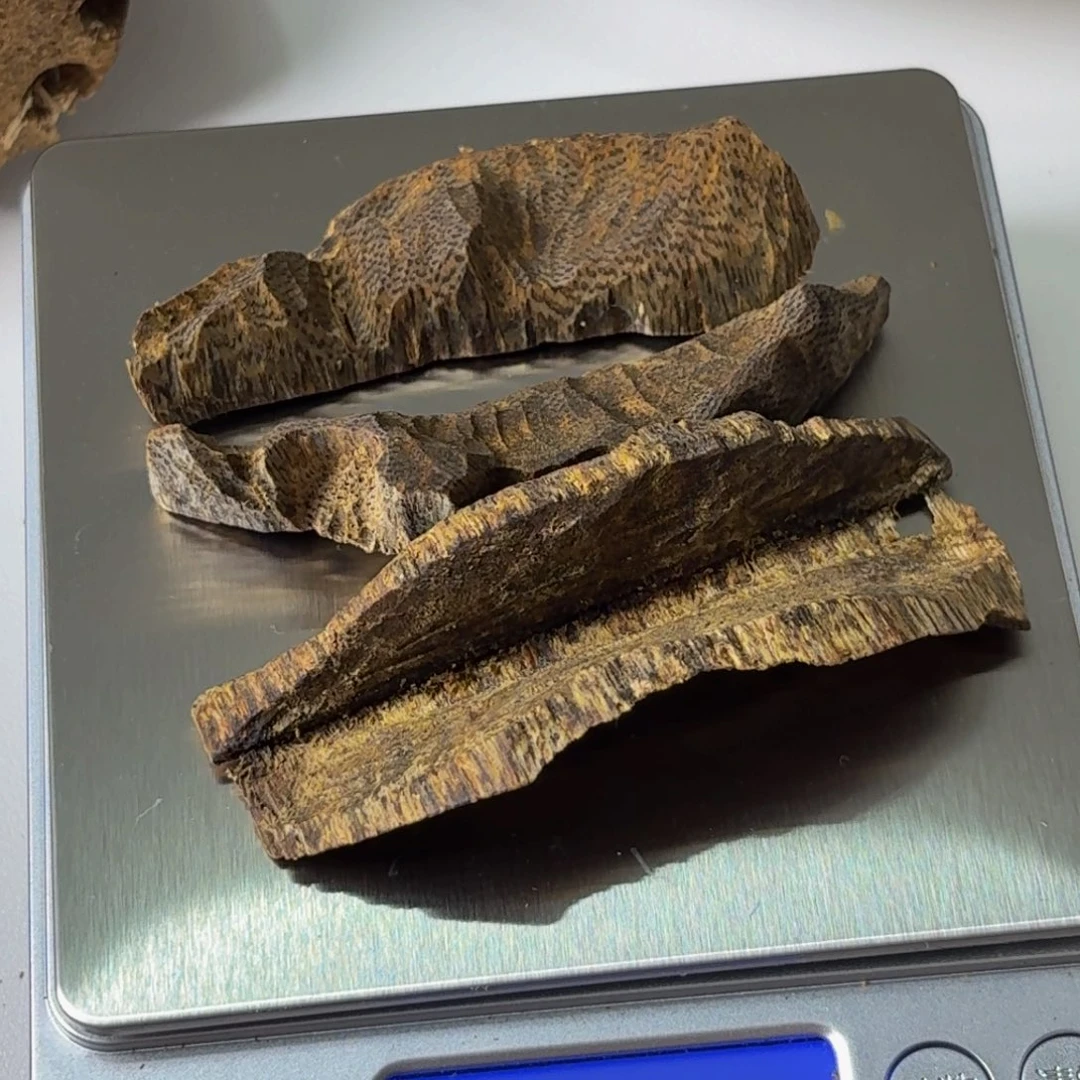 琳***爱沉香碎屑沉香海南锯盒乌身