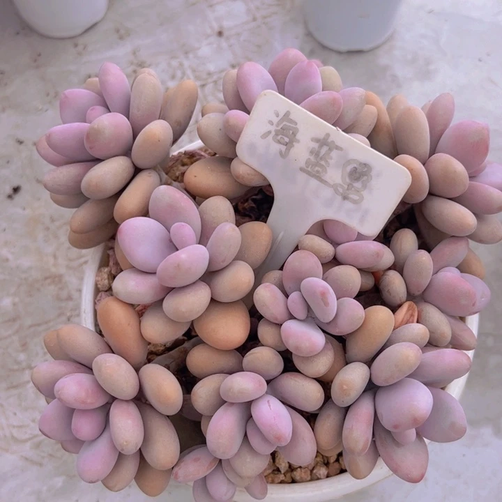 健健康康平平安安