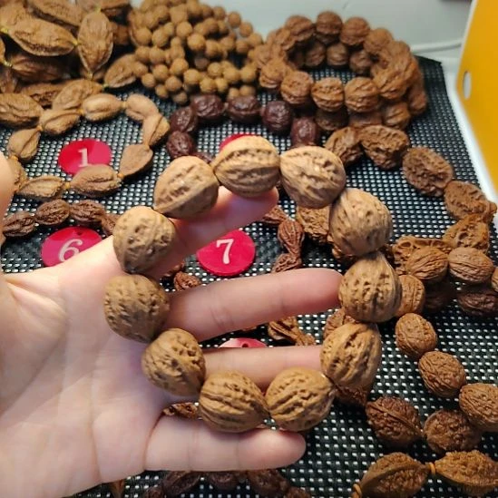 吊坠文玩核桃波波5大枣