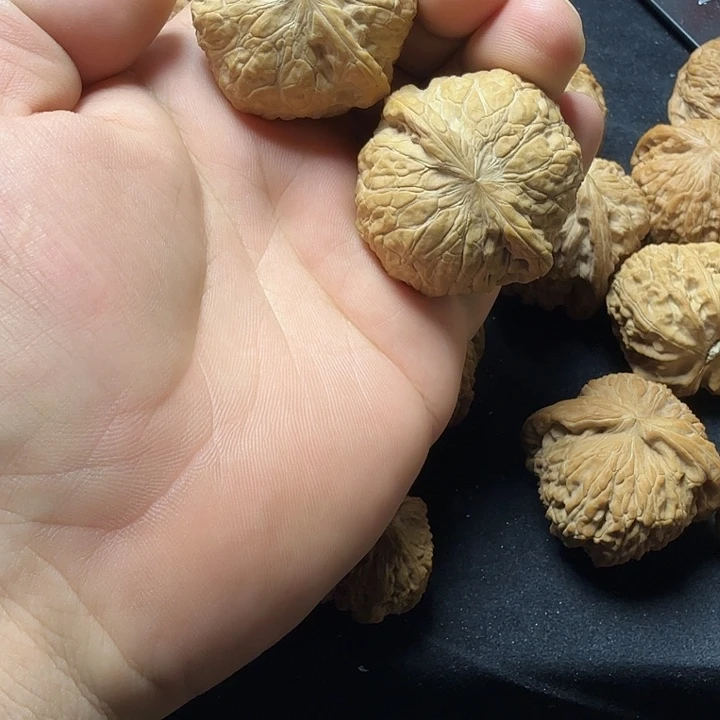 方***解43全品无修南瓜饼