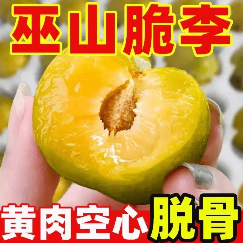 【正宗巫山脆李】重庆巫山脆李脱骨李新鲜应季水果XB002