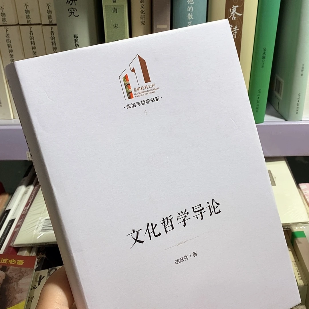 瑕疵锯口  文化哲学导论