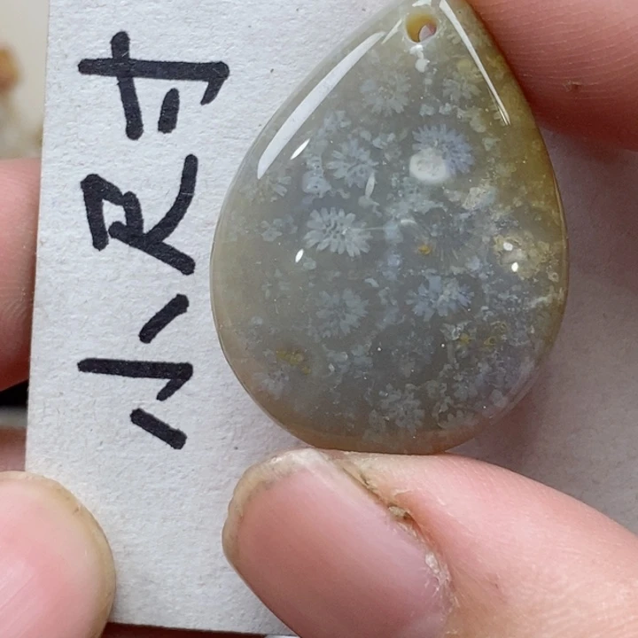 颈饰未镶嵌硅化珊瑚（珊瑚玉）