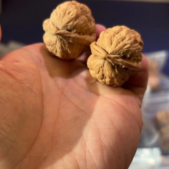 文玩核桃吊坠龙牙石