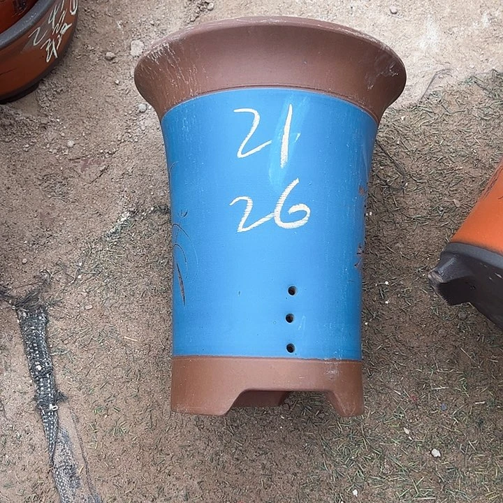 红陶紫砂工艺厂……紫砂工艺厂