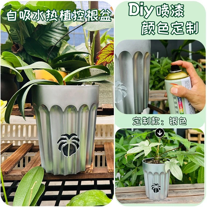 电镀银热植专用自吸水塑料花盆控根透气适合龟背竹蝴蝶兰
