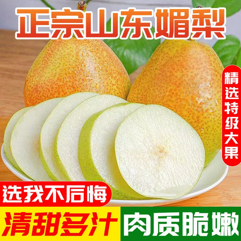 山东阳信媚梨新梨7号七号4.5斤新鲜水果红香酥梨香梨果园直发包邮