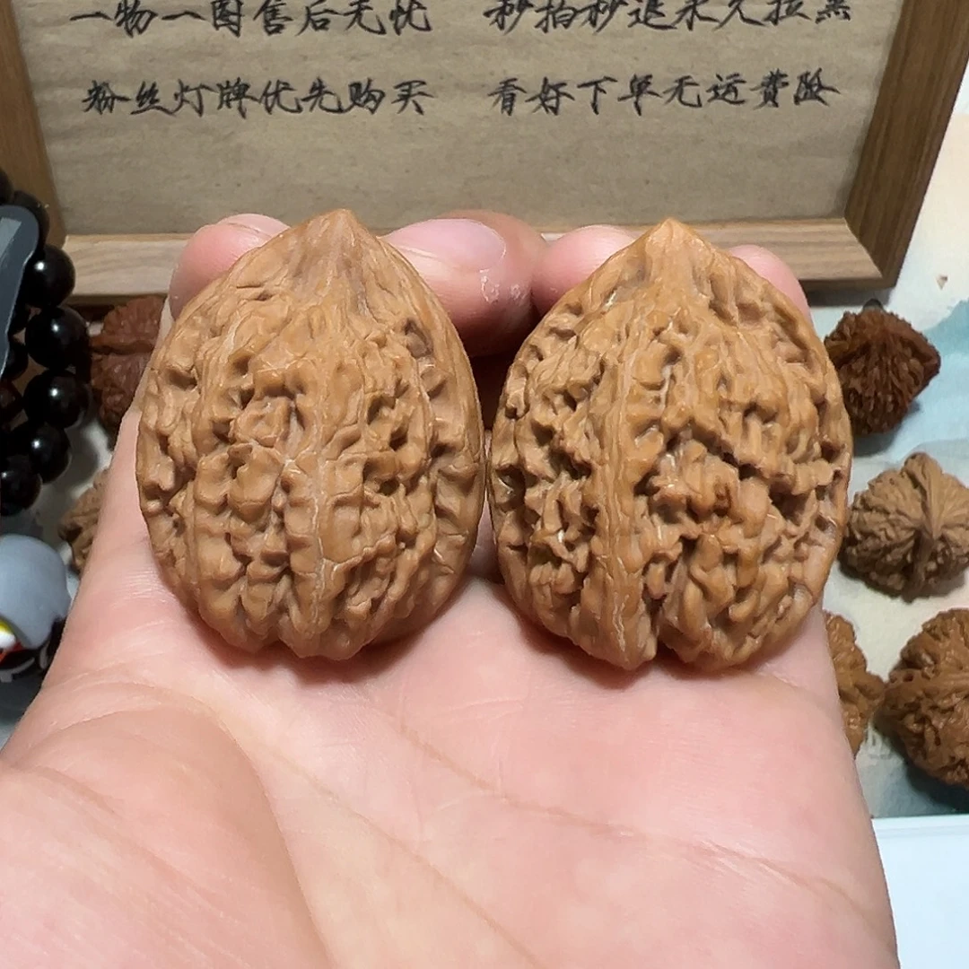 15号文玩核桃35尺粗茎蚂蚁王