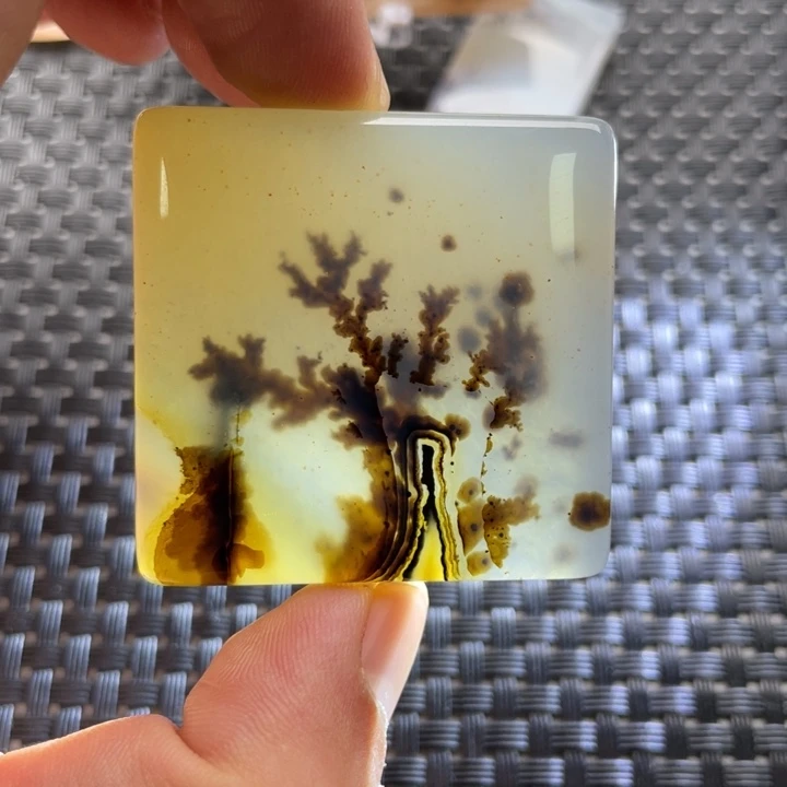 鞋***脚玛瑙/玉髓未镶嵌颈饰