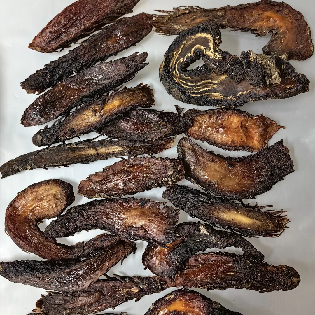 内蒙古乌拉特后旗秋季肉苁蓉片