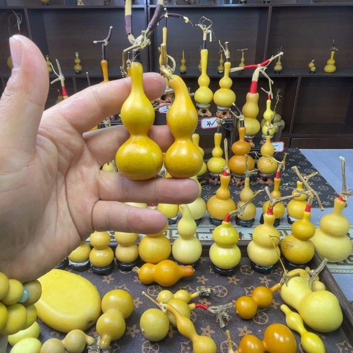 夏***。8888888888888888888