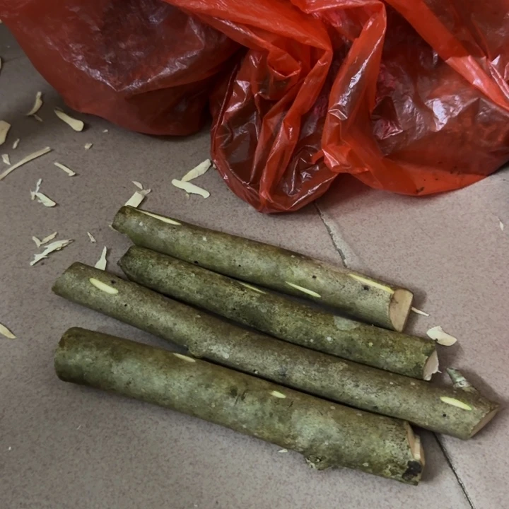 香榧木白木香瓜子原木胚料16个