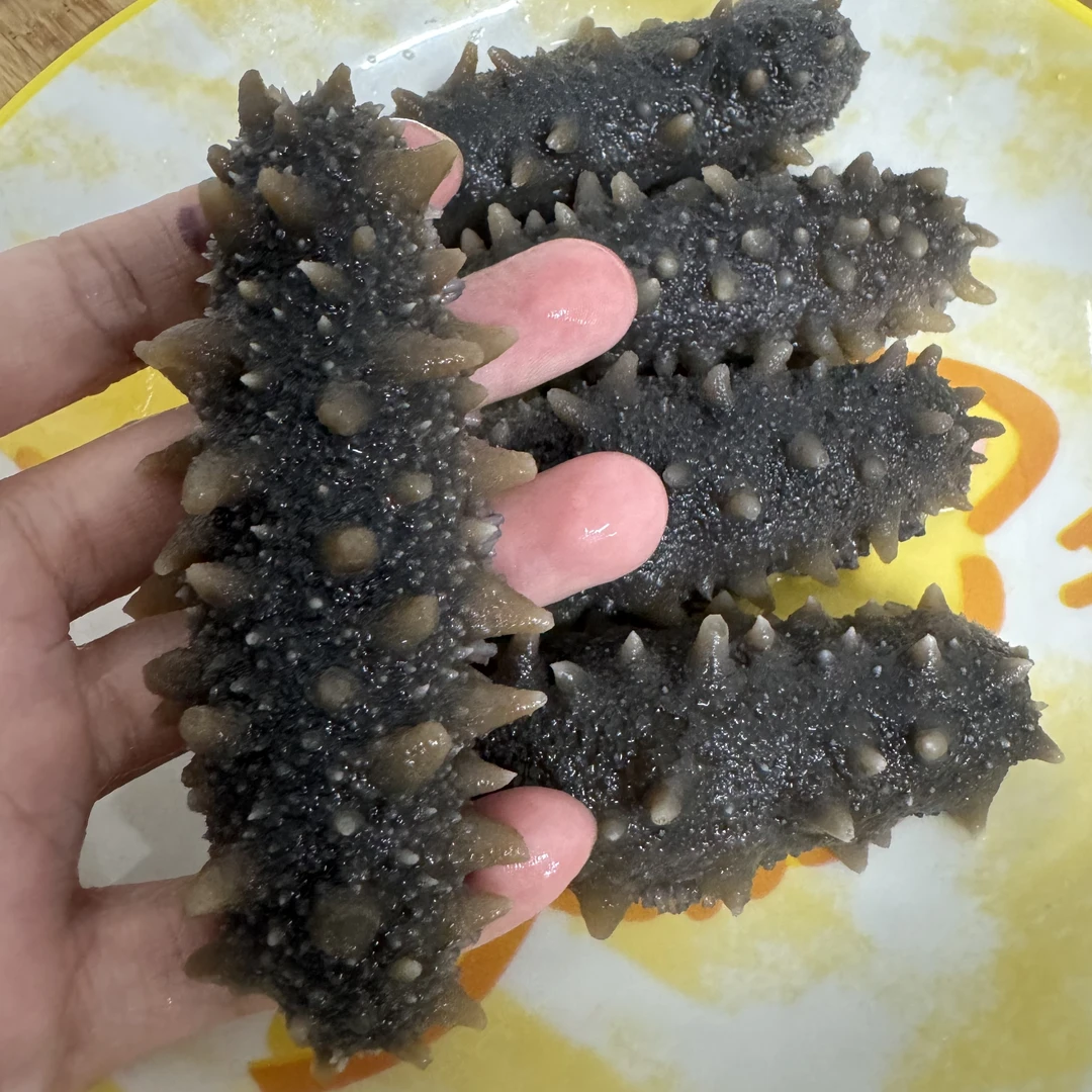 （直播间专属)蒸制即食海参10头Q弹口感