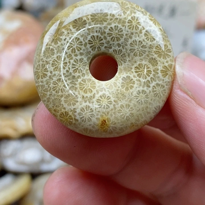 硅化珊瑚（珊瑚玉）未镶嵌颈饰小吊坠