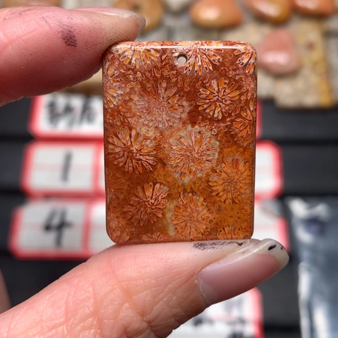 【闪购商品】硅化玉颈饰未镶嵌