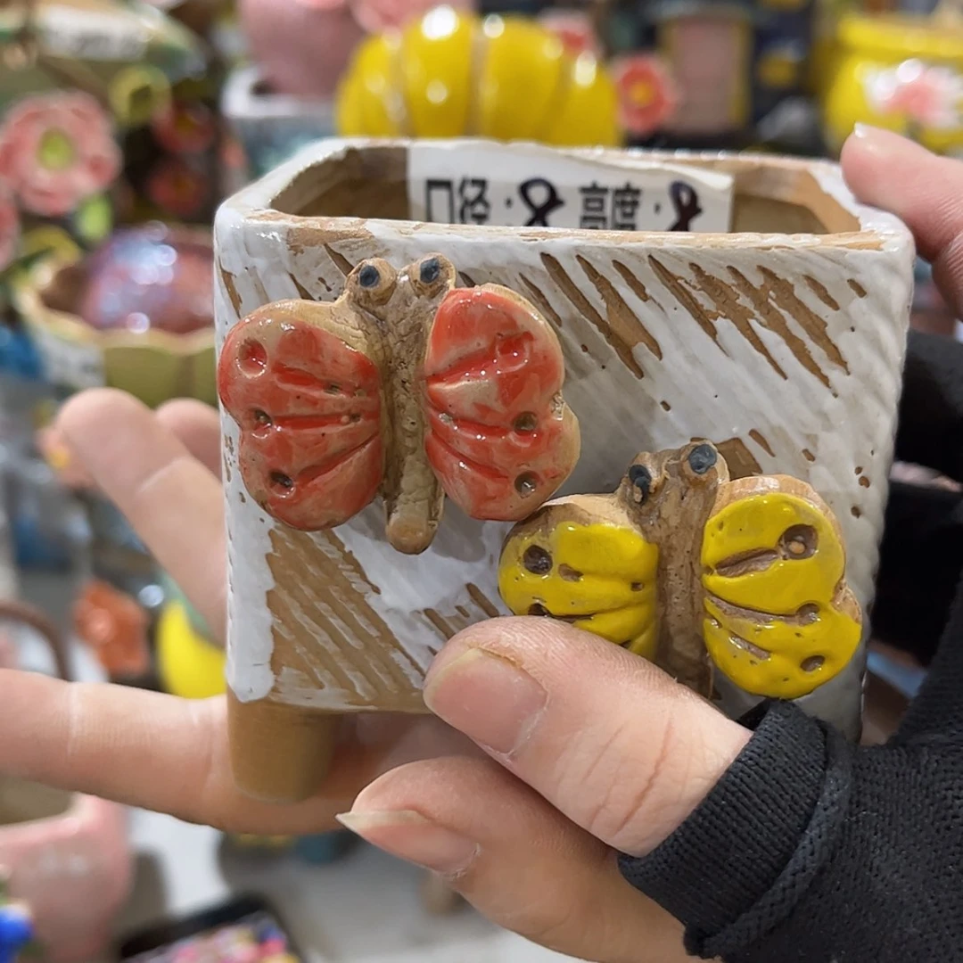 【闪购商品】红陶福利