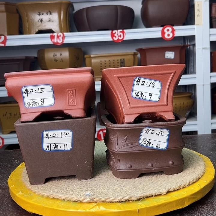 紫砂花盆蛇年大吉