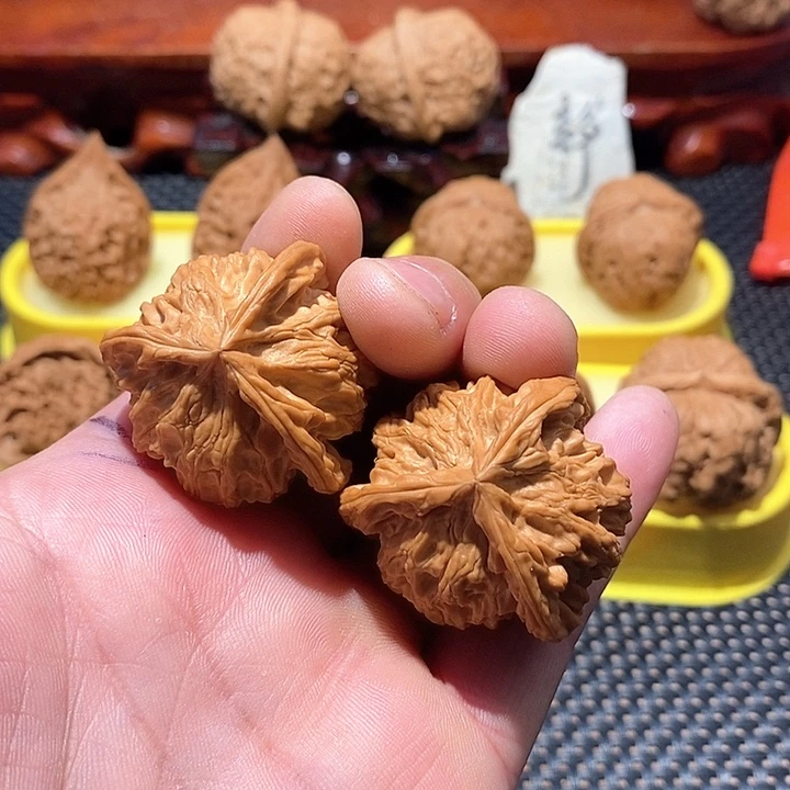 盘山无花无黄全品