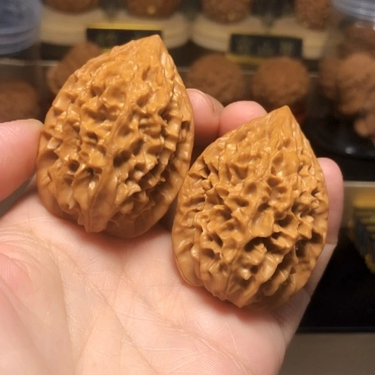 精品：招财鼠全品