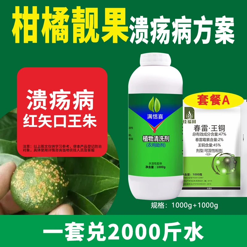 柑橘树靓果溃疡病方案果树沃柑杀菌