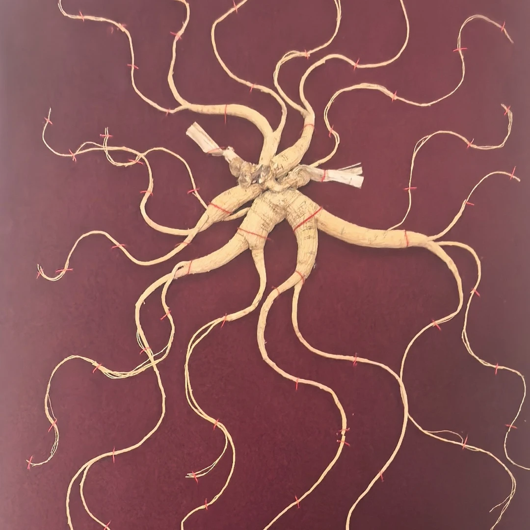 长白山林下干人参80板一物正宗人参一拍