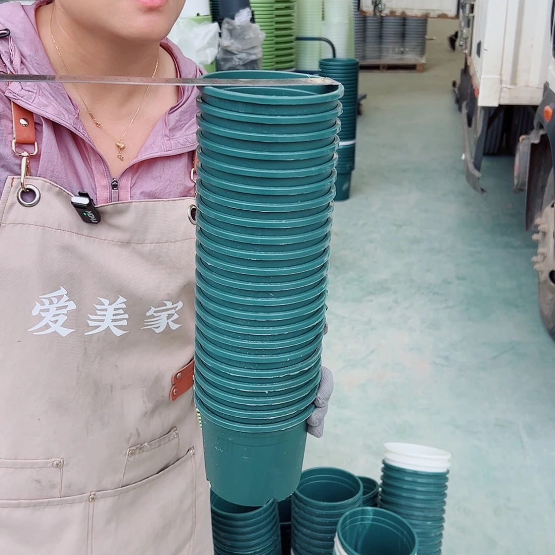瑕疵0.5加仑墨绿色20个无托