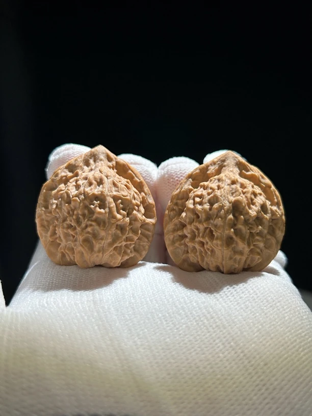 野生小帽36×33×37文玩核桃