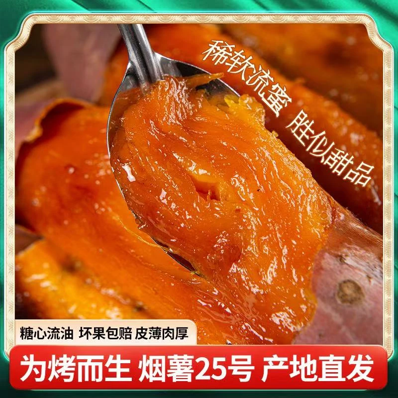 正宗烟薯25号辽宁彰武特产红薯 净重4.5-5斤 中果以上（3两-8两）