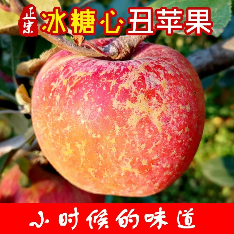 【星辰1026】红富士冰糖心丑苹果新鲜含箱含包装重约10斤净果8.5斤