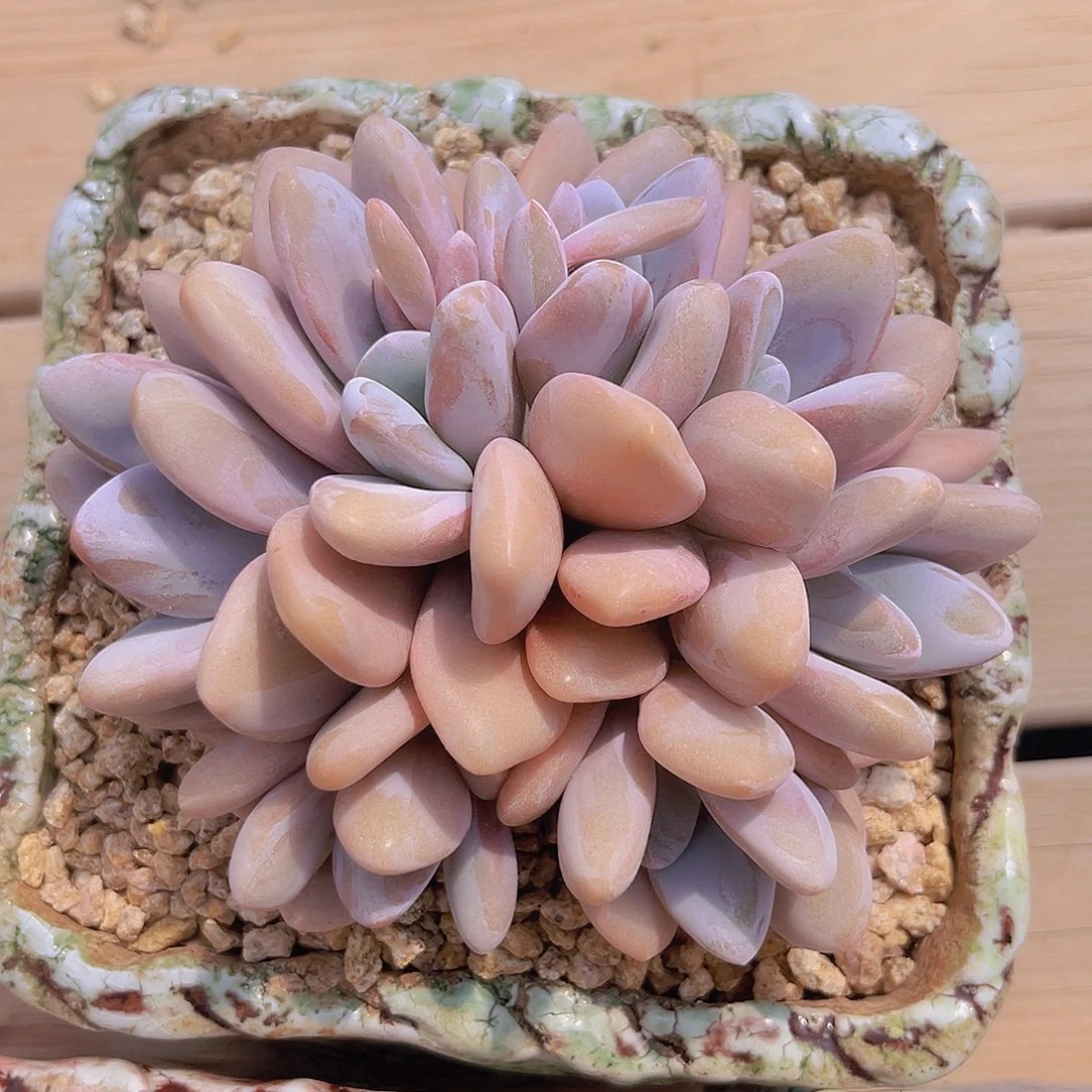 89987768878999988888