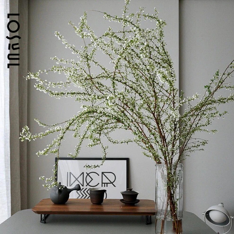 雪柳干枝鲜枝水养插花水培植物鲜花卉