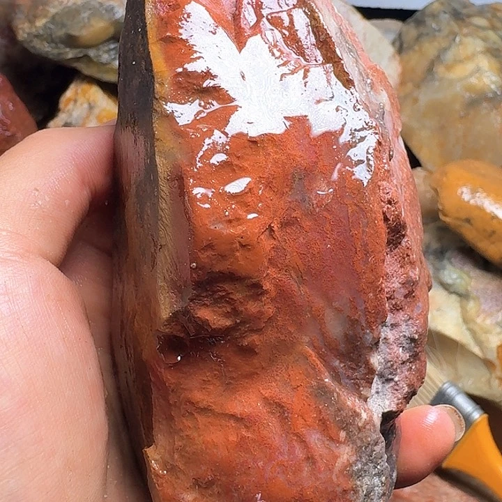 寿山石闻**登寿山石的价格