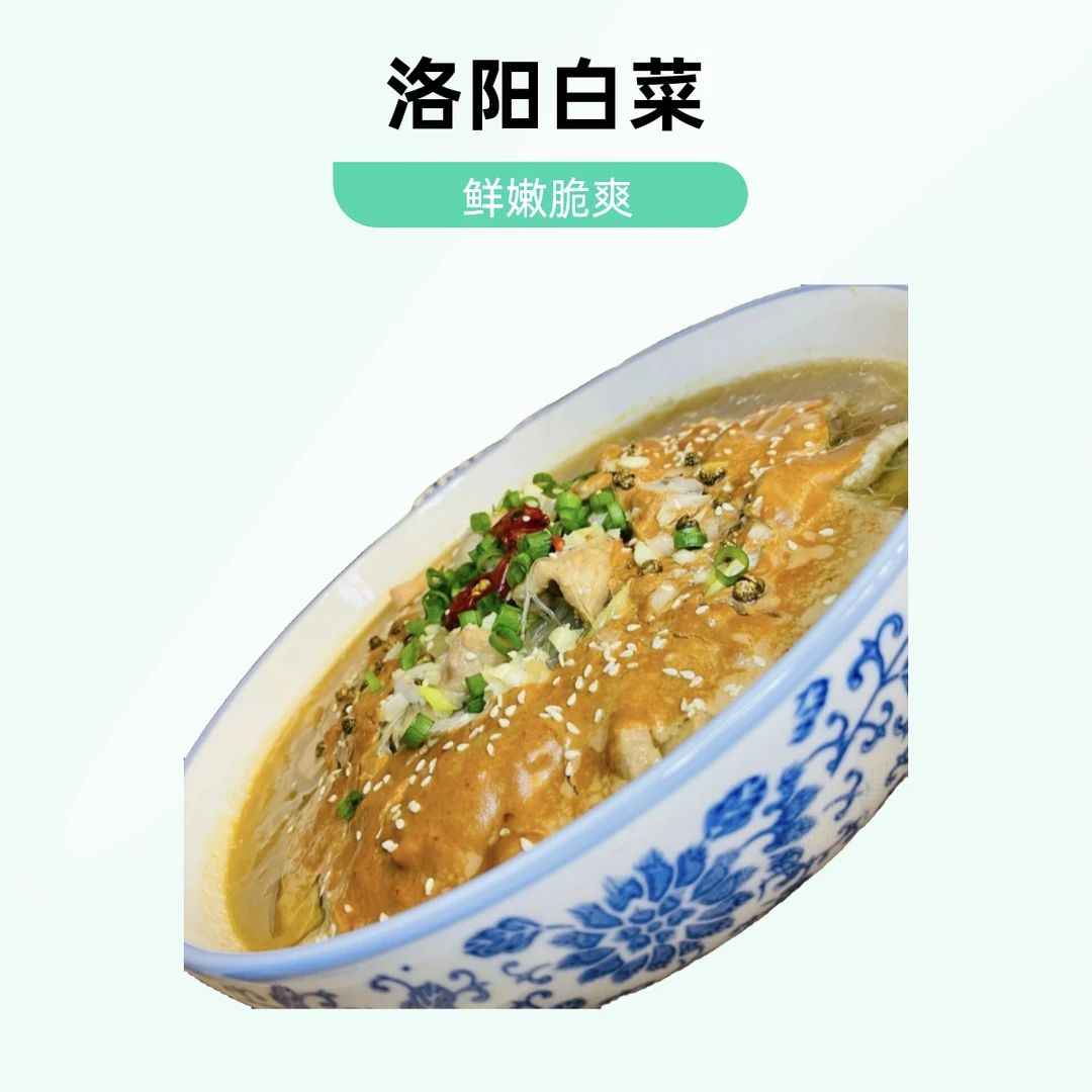 鲜广汇-洛阳白菜500克方便菜