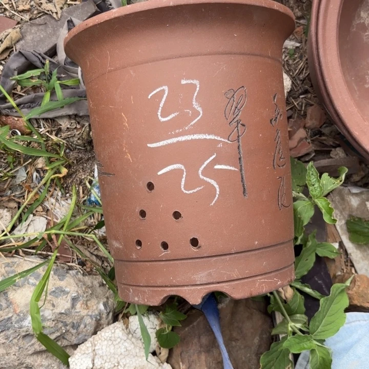 紫砂花盆紫砂等珍贵