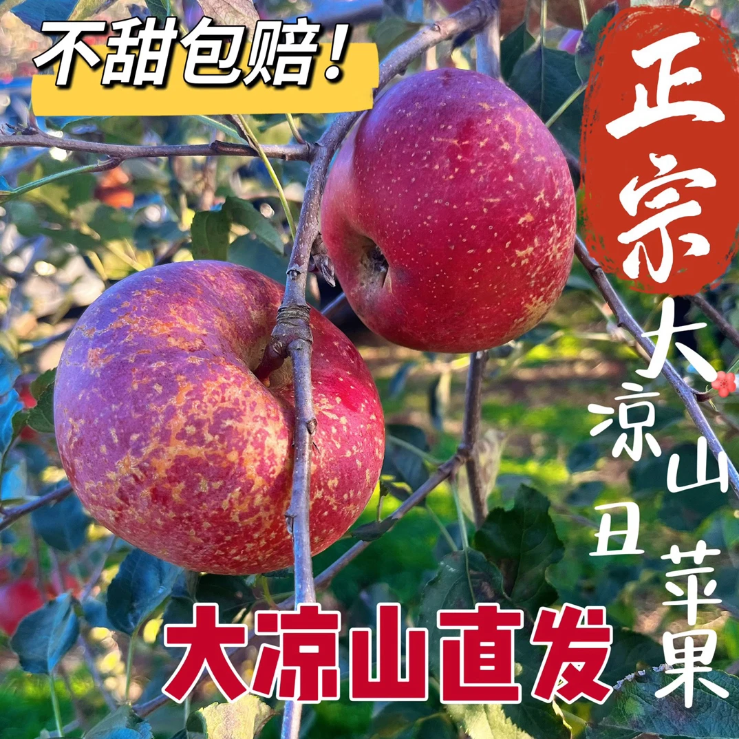 四川大凉山冰糖心丑苹果脆甜多汁新鲜应季富含维C水果