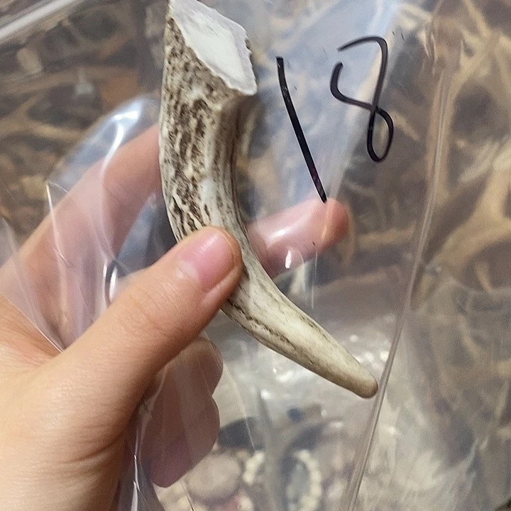 5***3无非金属鹿角鹿角