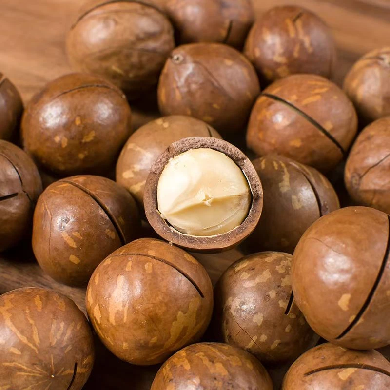 【到手三包】夏威夷果奶香味大颗粒饱满壳薄肉厚新鲜美味