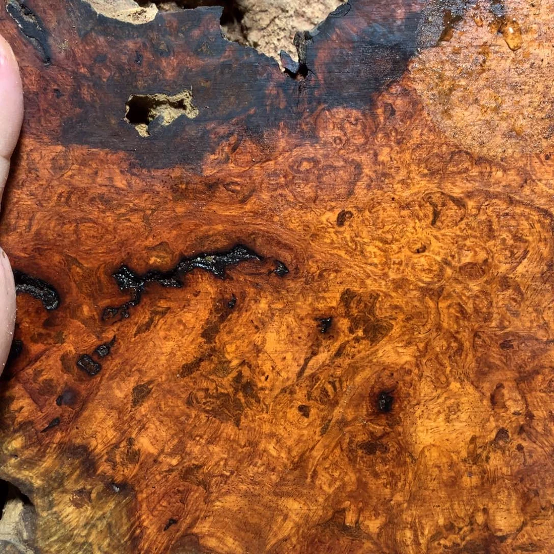 侑***福大果紫檀（缅甸花梨）缅甸花梨2.0