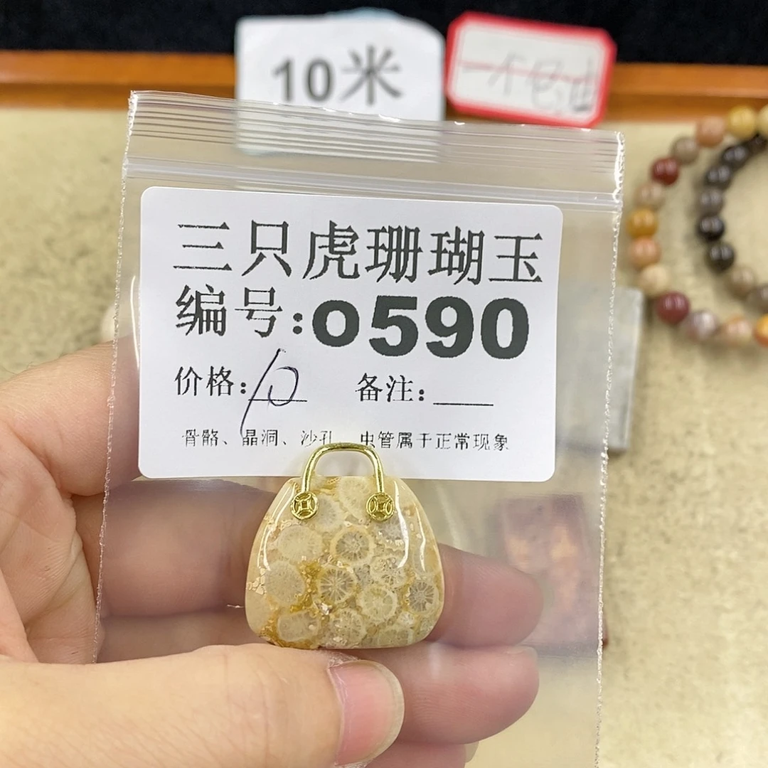 硅化珊瑚（珊瑚玉）1未镶嵌石*