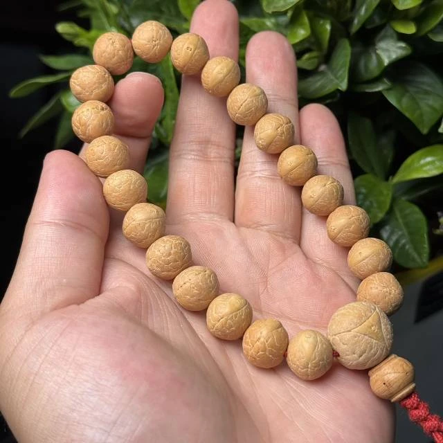 【五周年精选】6 G22891-凤眼菩提手持-多样性发其一-尺寸12mm