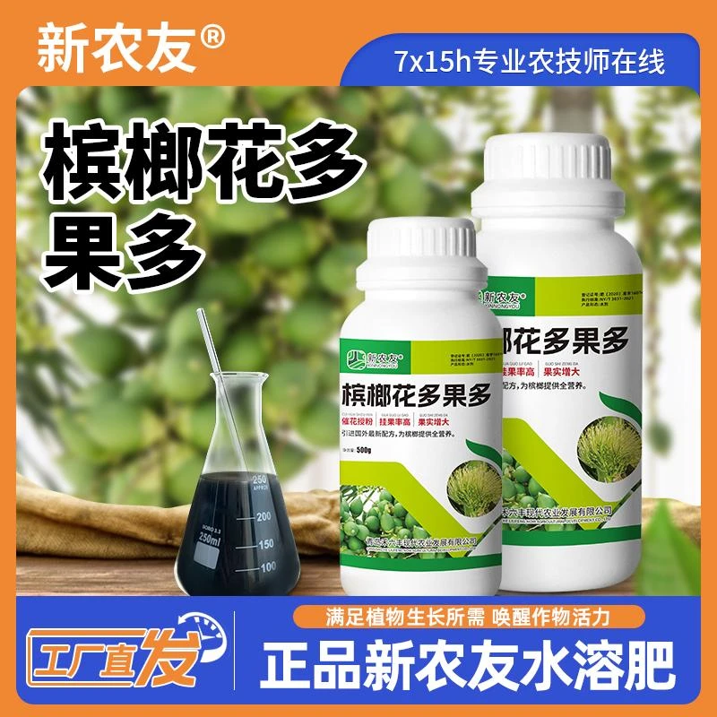 【槟榔花多果多】催花授粉挂果率高果实增大为槟榔提供全营