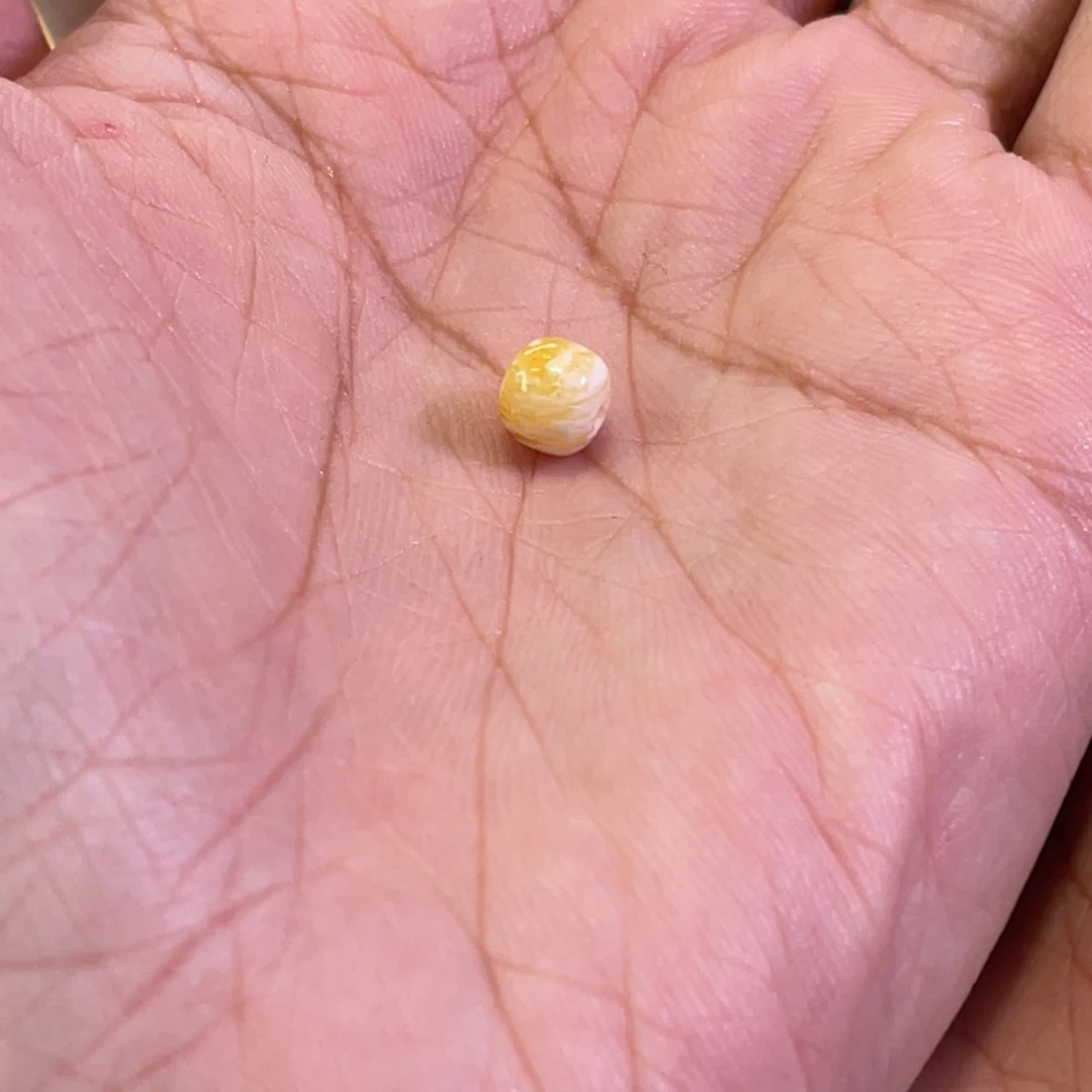 琥珀未镶嵌裸石M1012橘虎皮老型单珠