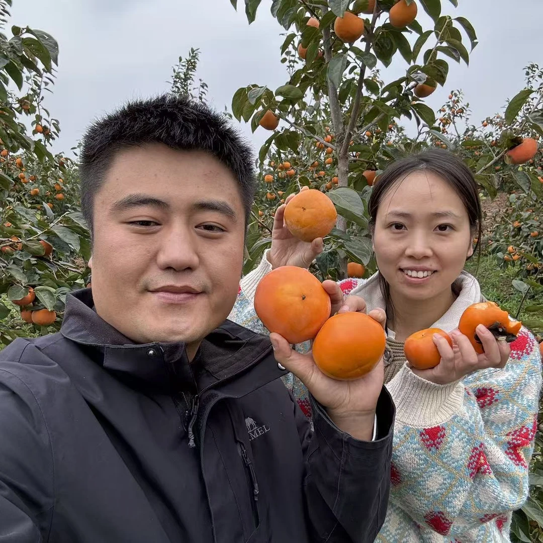 陕西高山阳丰脆甜柿子应季水果净重5斤中通快递包邮