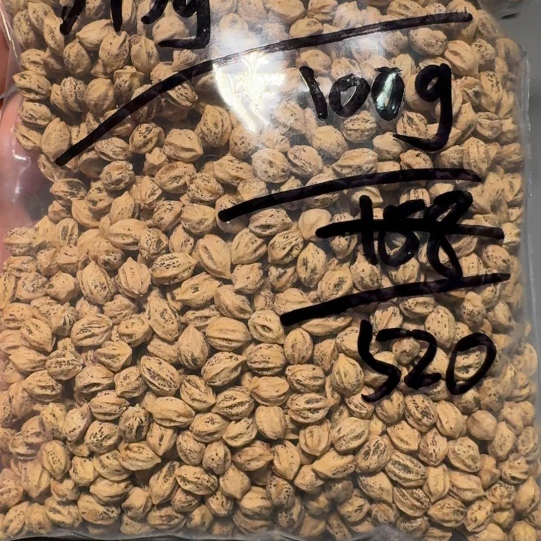 柏香籽/百香籽吊坠蝶*